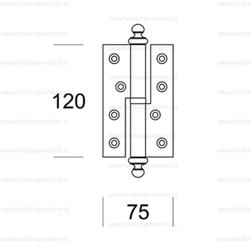 Петля Salice Paolo Borromeo 2904
