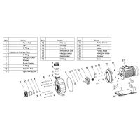 Насос AquaViva LX WTB550 90 м3/ч (7,5HP, 380В)