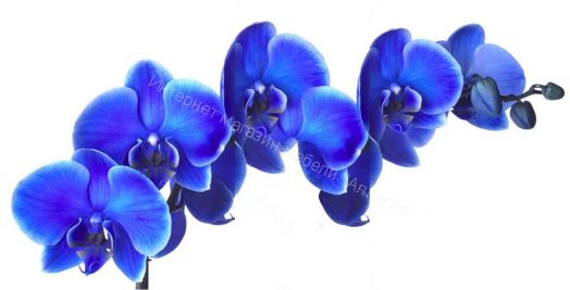 Кухонный гарнитур Риал К-28-синий 1600