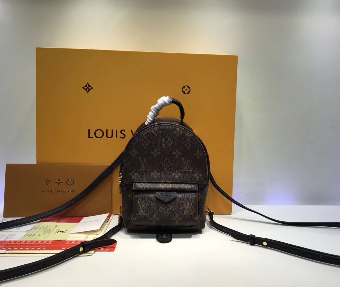 Рюкзак Louis Vuitton Palm Springs Mini