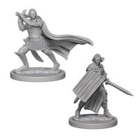 Pathfinder Miniatures - Elf Male Paladin