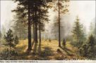 1572 Fog in the Woods (small)