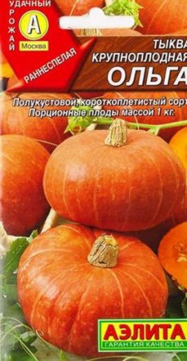 Тыква крупноплодная Ольга, 2 гр