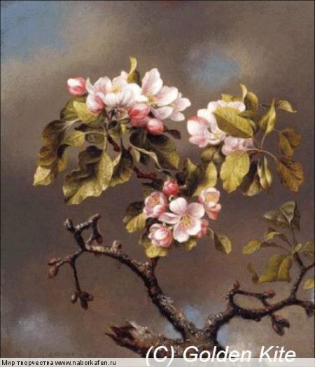 1719 Branch of Apple Blossoms