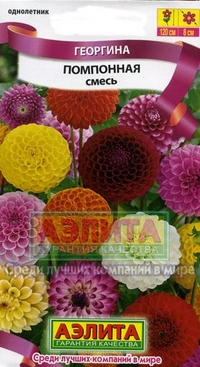 Георгина помпонная, смесь, 0,3 гр