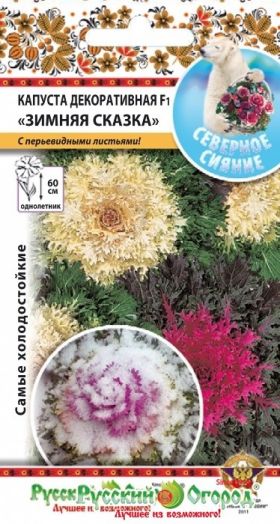 Северное сияние. Капуста декоративная F1 "Зимняя сказка", 10 шт