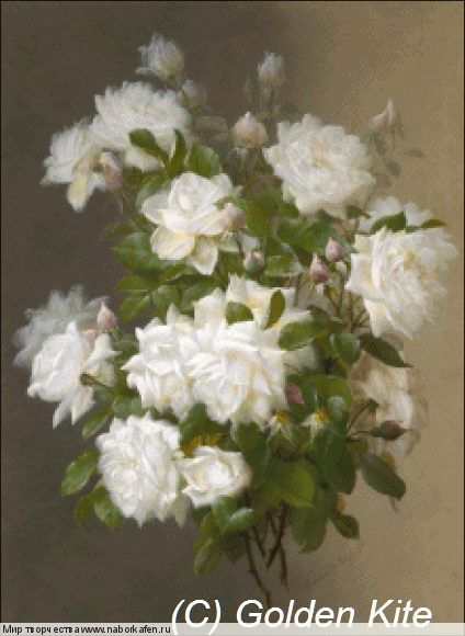 2106 White Roses (small)