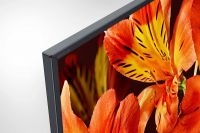 Телевизор Sony KD-65XF8596 обзор