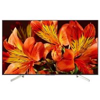 Телевизор Sony KD-65XF8596