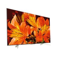 Телевизор Sony KD-65XF8596 цена