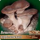 ГРИБ ВЕШЕНКА КОРОЛЕВСКАЯ НА ДРЕВЕСНОЙ ПАЛОЧКЕ, 12 ШТ