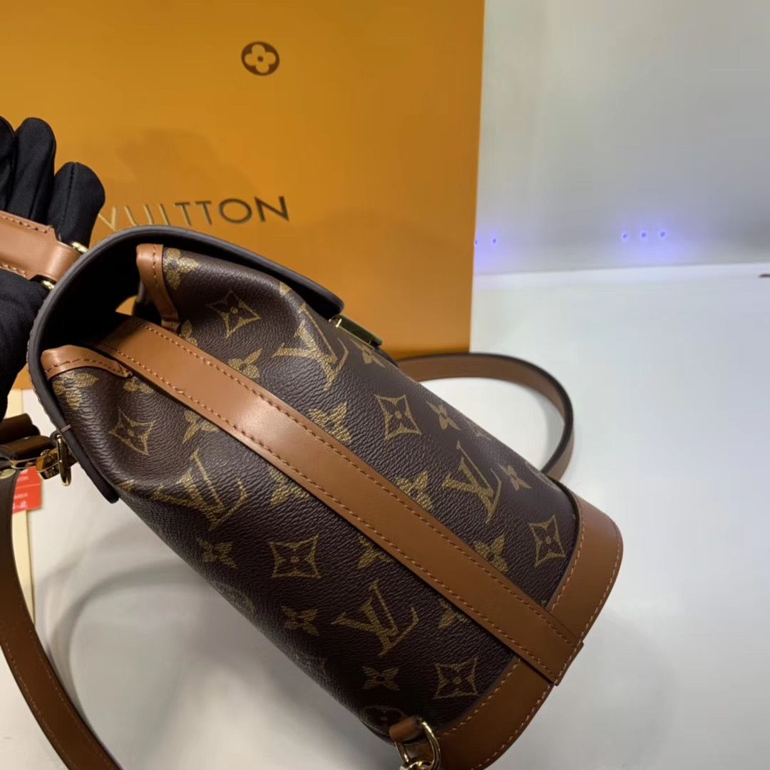 Рюкзак Louis Vuitton DAUPHINE