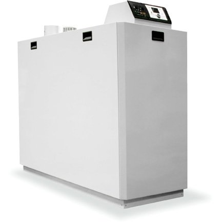 Kentatsu impect-4