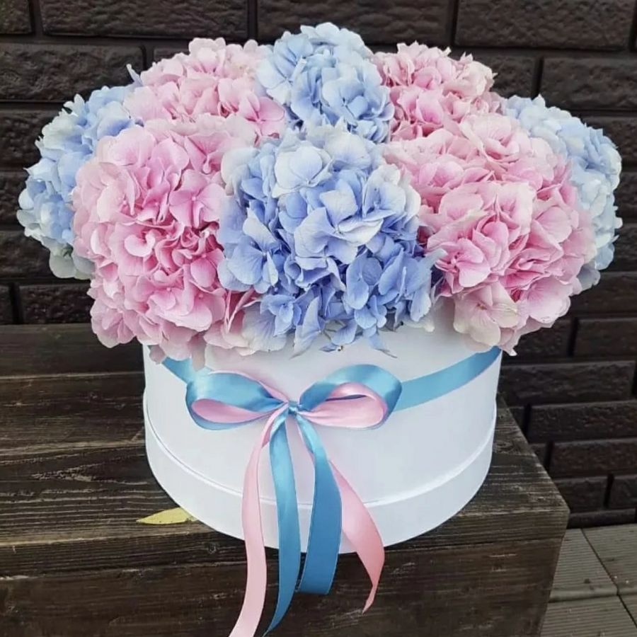 Волшебный поцелуй