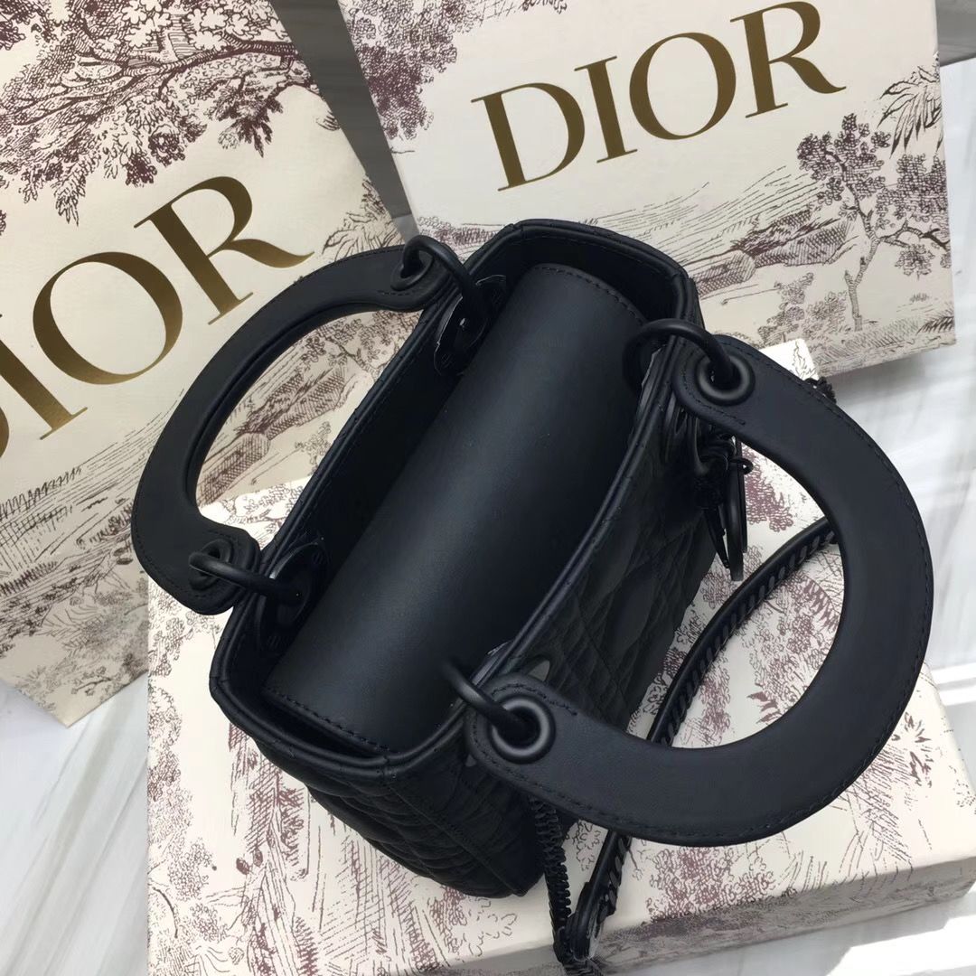 Lady Dior Mini 17 cm