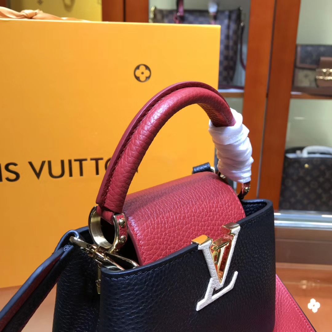 Louis Vuitton Cappucines Mini