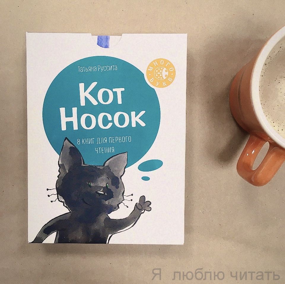 Кот Носок