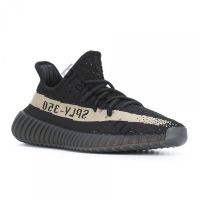 Adidas Yeezy boots 350 V2