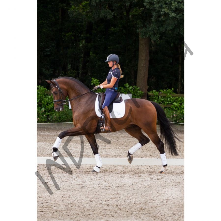 Ногавки 3D Mesh белые