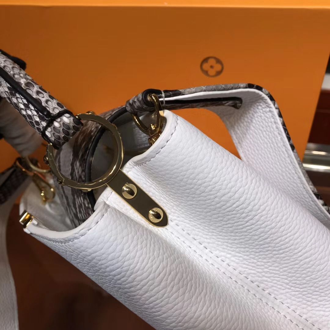 Louis Vuitton Cappucines 27 cm