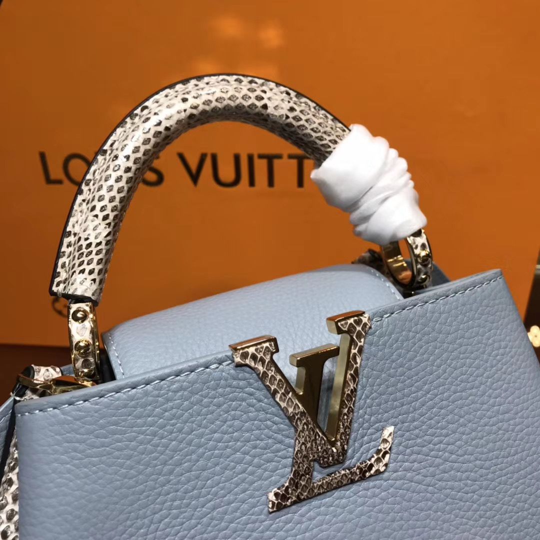Louis Vuitton Cappucines Mini