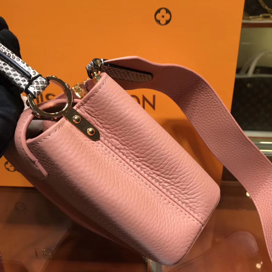 Louis Vuitton Cappucines Mini