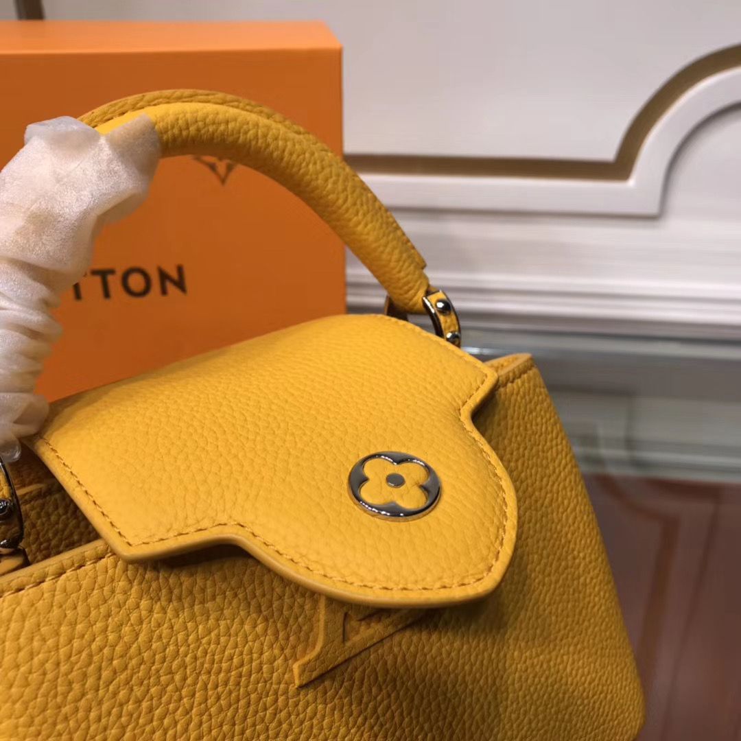 Louis Vuitton Cappucines Mini 21 cm