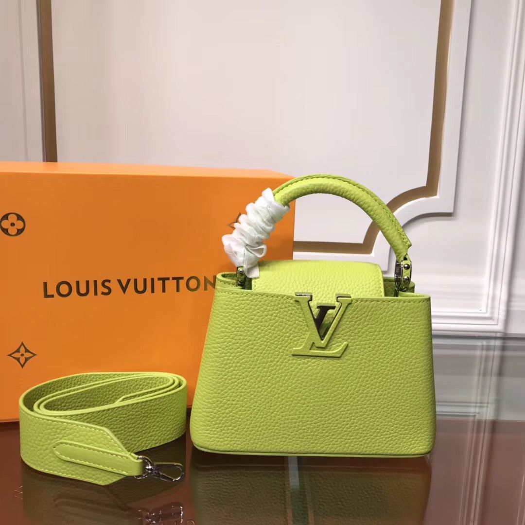 Louis Vuitton Cappucines Mini 21 cm