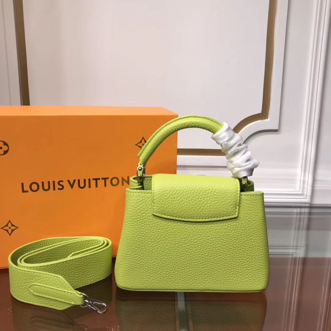 Louis Vuitton Cappucines Mini 21 cm