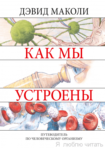 Как мы устроены Путеводитель по человеческому организму