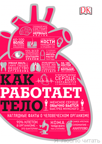 Как работает тело