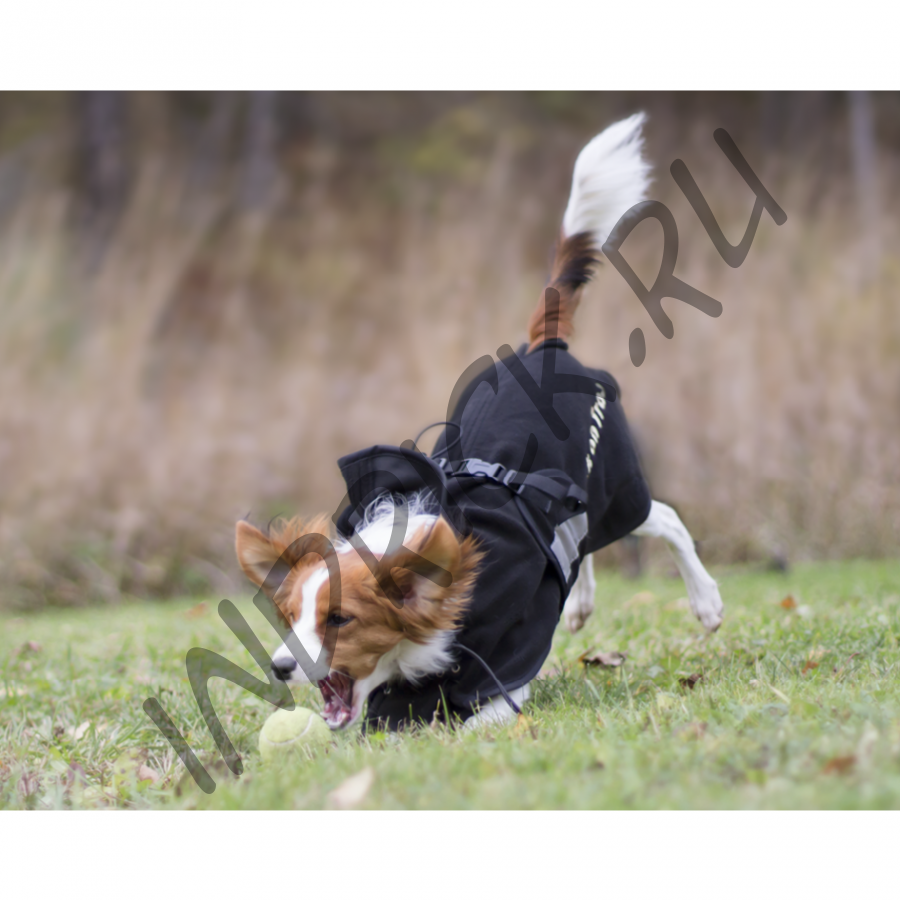 Флисовая попона Back on Track для собак