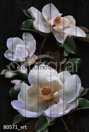 80571 Картина на досках серия FLOWER DREAM