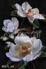 80571 Картина на досках серия FLOWER DREAM
