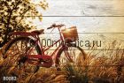 80082 Картина на досках серия ВЕЛОСИПЕДЫ