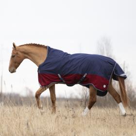 Попона прогулочная с завышенной шеей MIU Equestrian Singapore
