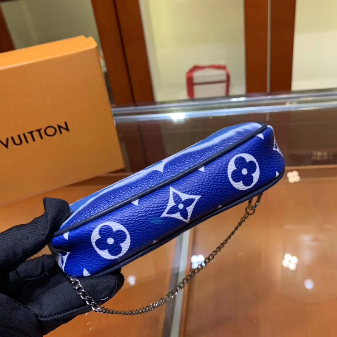 Louis Vuitton Pochette Accessoires