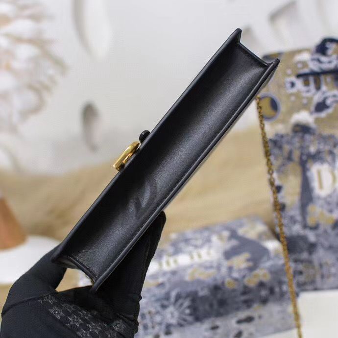 Dior Oblique Woc 22 cm