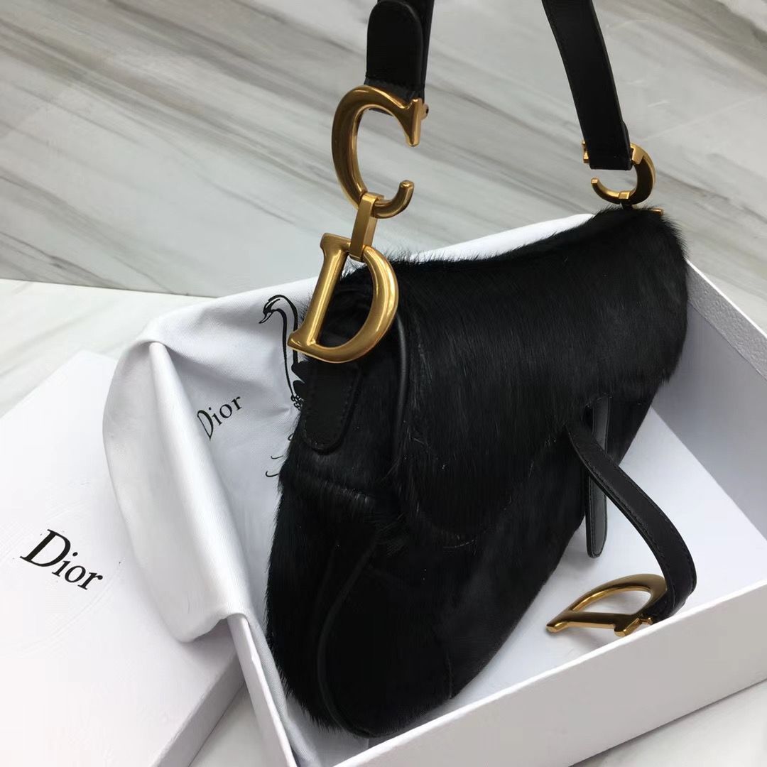 Dior Saddle Bag 25,5 cm