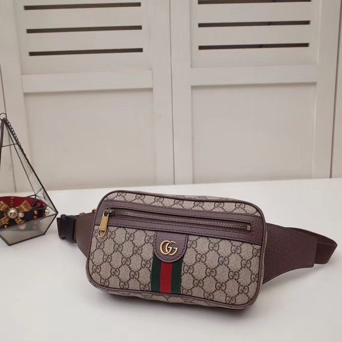 Поясная сумка Gucci Ophidia 24 cm