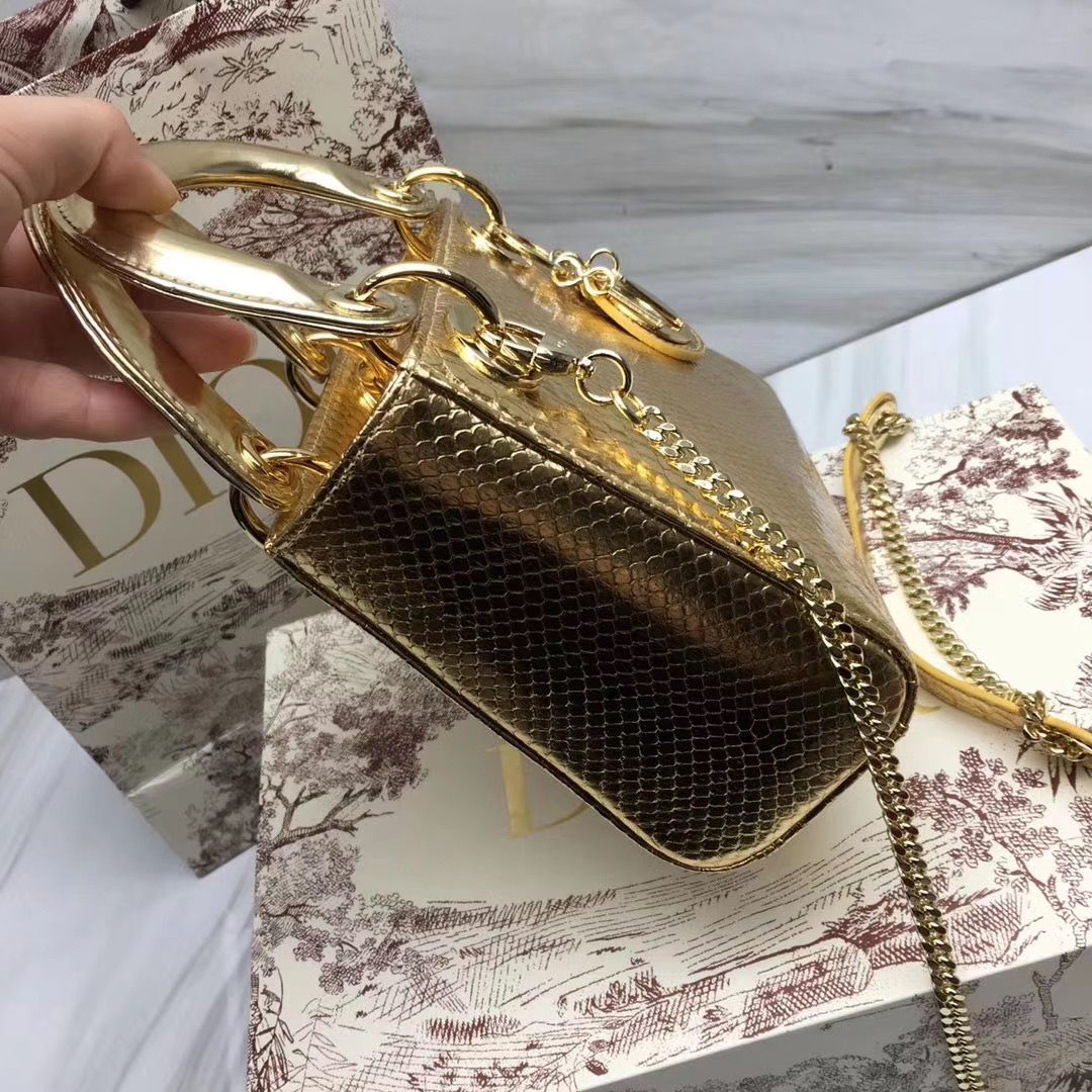 Lady Dior 17 cm