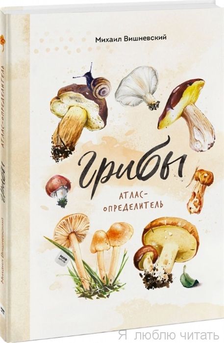 Грибы. Атлас-определитель