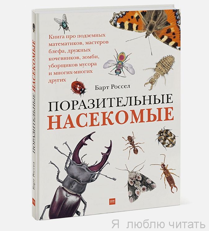 Поразительные насекомые