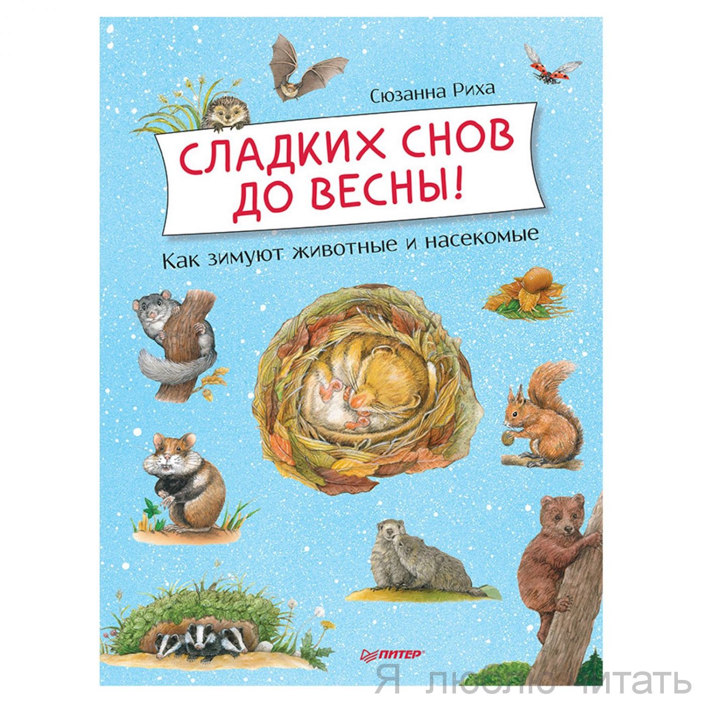 Сладких снов до весны! Как зимуют животные и насекомые