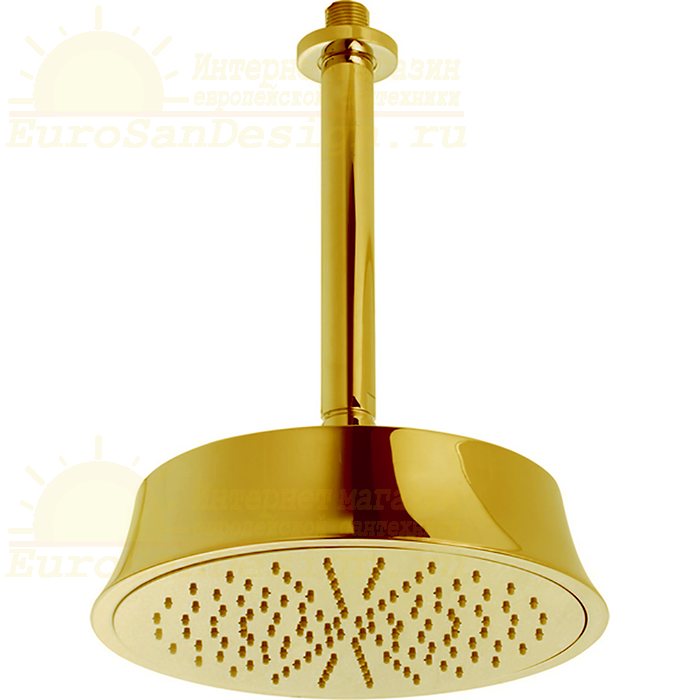 Верхний душ Cisal Shower DS01328024 золотой схема 2