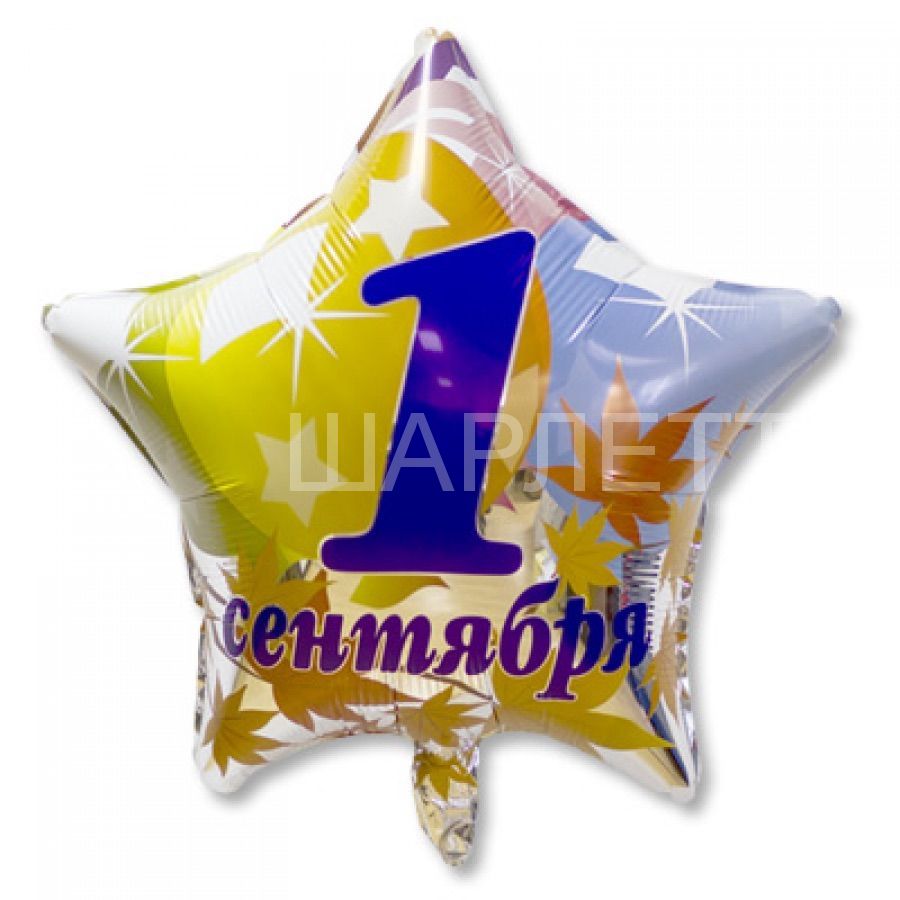 Звезда "1 СЕНТЯБРЯ"