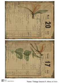 Vintage insects 8