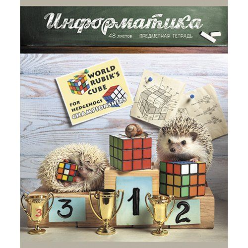 Тетрадь предметная Информатика 48л Тайная жизнь ежей
