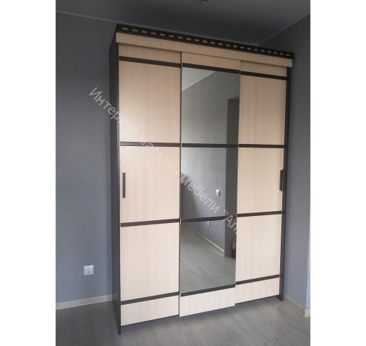 Шкаф купе 3-х дверный "Ольга 13"