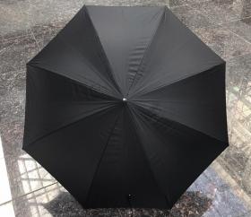 Зонт-трость Pasotti Leone Nero StripesS Black